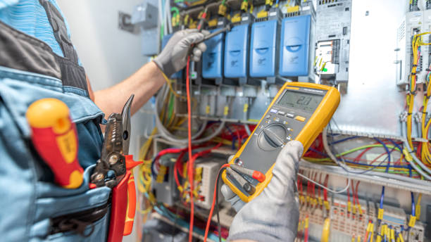 Best Electric Panel Repair  in Gramercy, LA